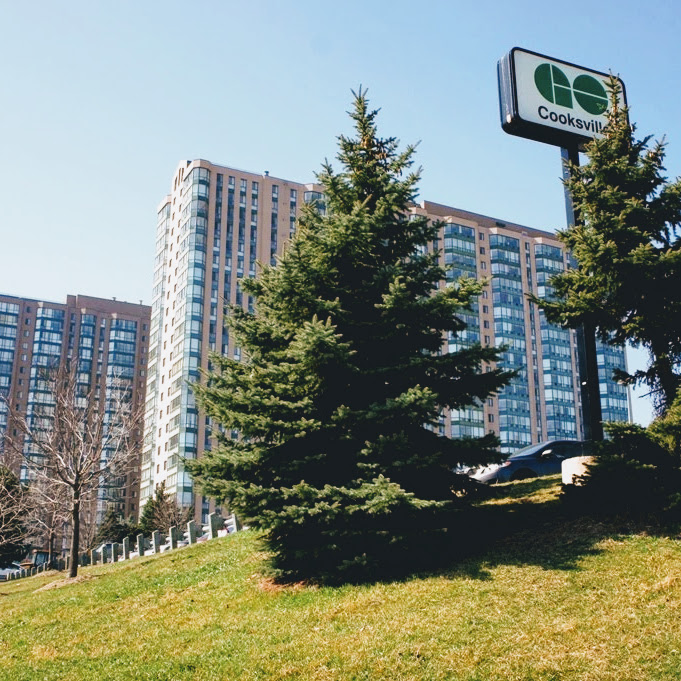 cooksville-- GTAWestLiving (1).jpeg